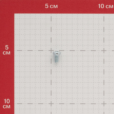 Винт оцинкованный M4x8 мм DIN 7985 полукруглая головка (20 шт.)