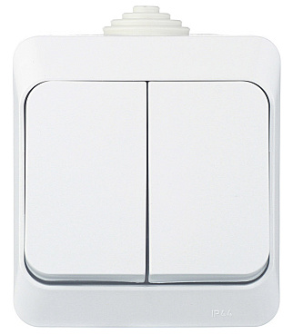 Выключатель Systeme Electric Этюд двухклавишный накладной белый (BA10-042B)