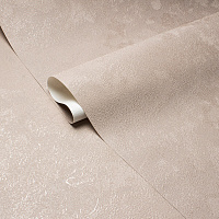 Обои компакт-винил на флизелиновой основе Victoria Stenova Revolute 588058 (1,06х10,05 м)