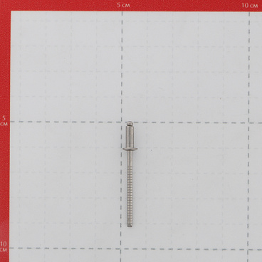 Заклепка вытяжная 3,2x8 мм нержавеющая сталь/нержавеющая сталь (100 шт.)
