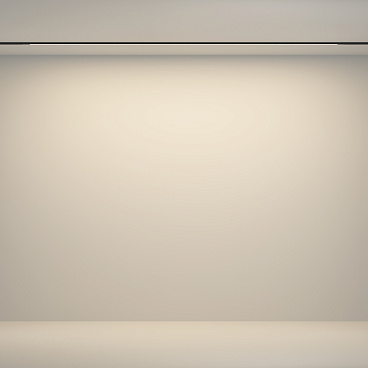 Трековый светильник Technical TR180-1-24WTW-B