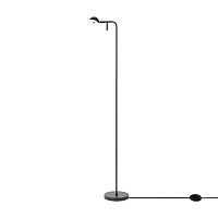 Напольный светильник (торшер) Freya FR5549FL-L5B