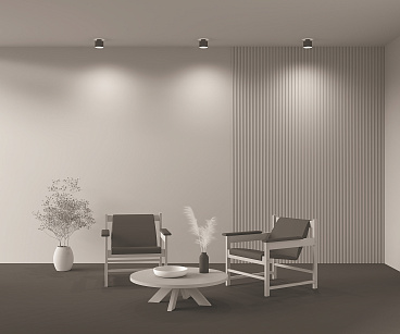 Потолочный светильник Technical C009CW-L12B