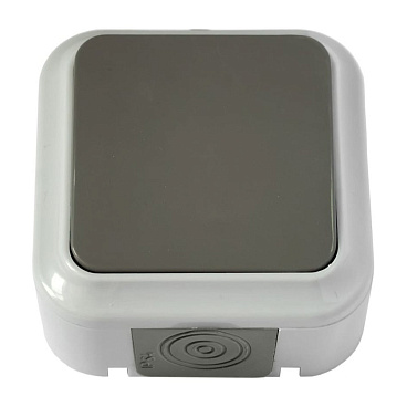 Выключатель Svet одноклавишный накладной серый (EV 0366-5515)