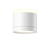Потолочный светильник Technical C120CL-GX53-W