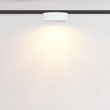 Трековый светильник Technical TR189-1-12W2.7K-BW