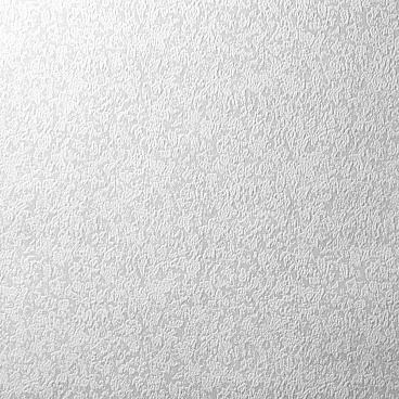 Обои бумажные Саратовские обои Рама Д-495-06 (0,53х10 м)