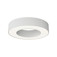 Потолочный светильник Technical C093CL-24W4K-W