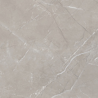 Витрум Гриджио Керамогранит серый 60х60 полированный