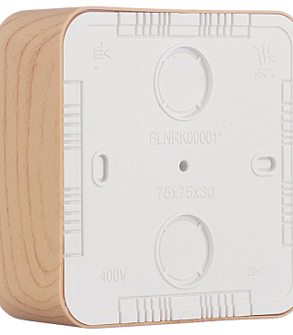 Коробка распределительная Systeme Electric Blanca накладная ясень (BLNRK000015)