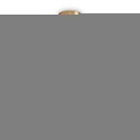 Потолочный светильник Freya FR2043CL-05BS