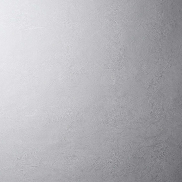 Обои компакт-винил на флизелиновой основе Palitra Family Maks FM72488-64 (1,06х10,05 м)