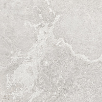 Блэйз Сильвер Керамогранит светло-серый 60х60 матовый гравированный