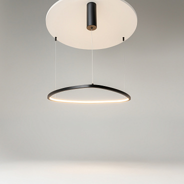 Подвесной светильник Maytoni MOD072PL-L28B3K