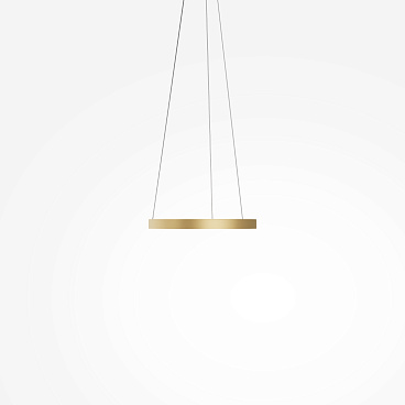 Подвесной светильник Maytoni MOD058PL-L22BSK