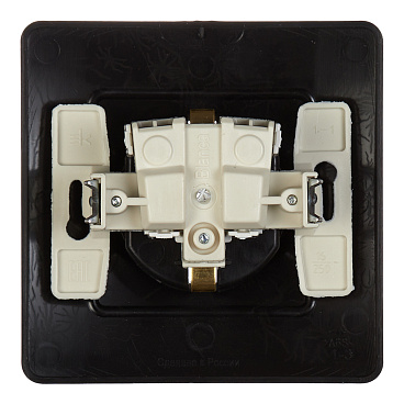 Розетка Systeme Electric Blanca встраиваемая антрацит (BLNRS001016)