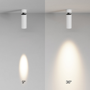 Потолочный светильник Technical C055CL-L12W3K-SS-W