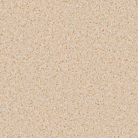 Линолеум коммерческий 2 м Tarkett Primo Plus 302 гомогенный