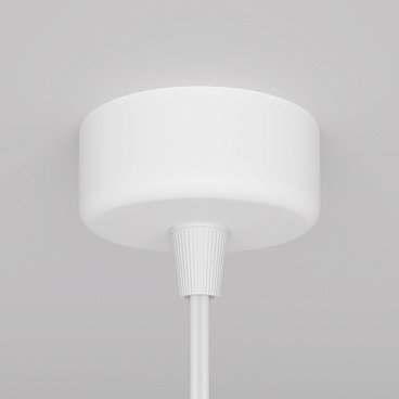 Подвесной светильник Maytoni P038PL-01W