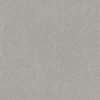 Джиминьяно Керамогранит серый матовый обрезной DD642320R 60х60