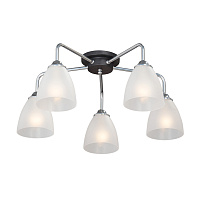 Люстра потолочная Vitaluce V4500 E14 200 Вт 10 кв.м (V4500-9/5PL)