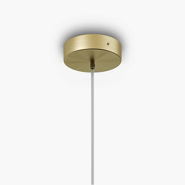 Подвесной светильник Maytoni MOD302PL-01CG1