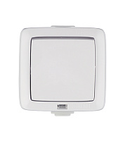 Выключатель Hegel Alfa одноклавишный накладной белый с подсветкой (ВА10-212)