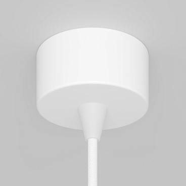 Подвесной светильник Maytoni P064PL-01W-1