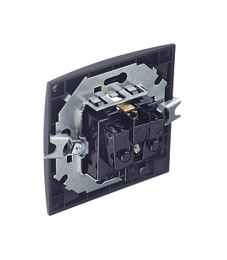 Розетка Simon 15 встраиваемая графит со шторками с крышкой (1590450-038)