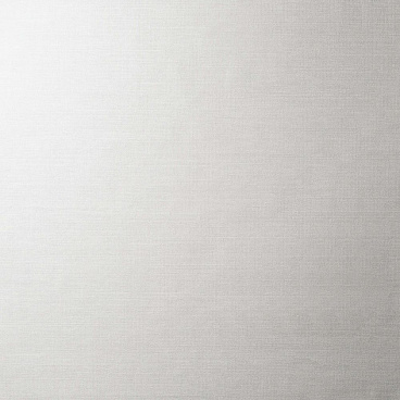 Обои компакт-винил на флизелиновой основе Renowa Absolute 287681 (1,06х10,05 м)