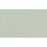 Обои виниловые на флизелиновой основе Wall Decor Рига 75348-17 (1,06х10,05 м)