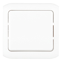 Выключатель нажимной Legrand Quteo накладной белый с самовозвратом (782305)