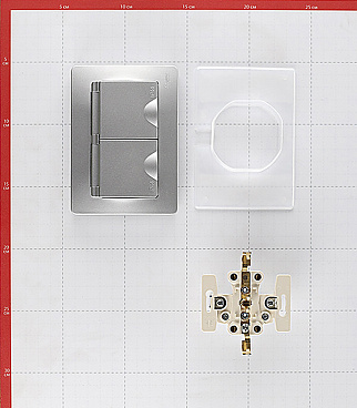 Розетка Systeme Electric Blanca встраиваемая алюминий со шторками (BLNRS441123)