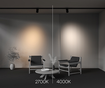 Трековый светильник Technical TR199-3-15W2.7K-M-B