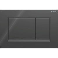 Клавиша смыва для инсталляций Geberit Sigma 30 черная (115.883.DW.1)