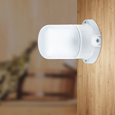 Светильник накладной Svet НББ 01-60-101 E27 60 Вт IP54 белый опал (1300-00050)