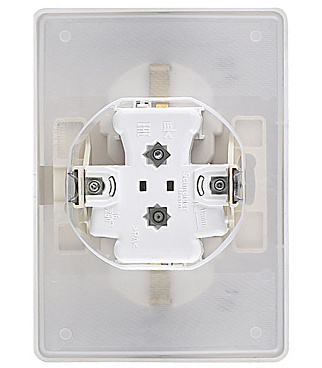 Розетка Systeme Electric Blanca встраиваемая алюминий со шторками (BLNRS441123)