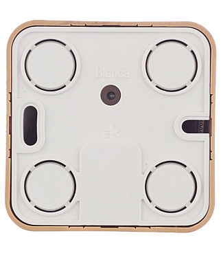 Розетка компьютерная Systeme Electric Blanca накладная ясень RJ45 (BLNIA045005)