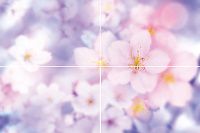 Wonder P4D266 Панно из 4-х плиток 60х40