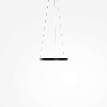 Подвесной светильник Maytoni MOD058PL-L22BK