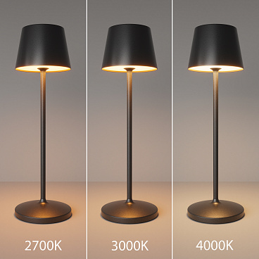 Аккумуляторный светильник Maytoni MOD494RL-L1BK