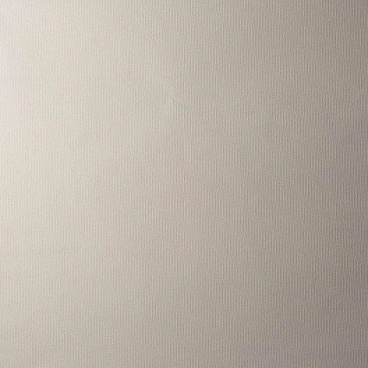 Обои вспененный винил на флизелиновой основе антивандальные Elysium Гера Е55601 (1,06х10,05 м)