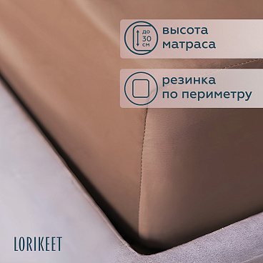 Комплект постельного белья Евро сатин Lorikeet Solo латте с простыней на резинке 160х200х30 см