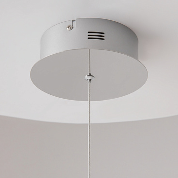 Подвесной светильник Maytoni MOD017PL-L13N