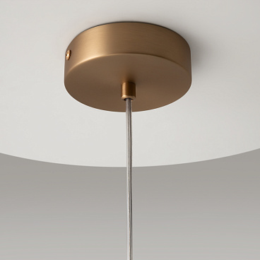 Подвесной светильник Maytoni MOD113PL-01W