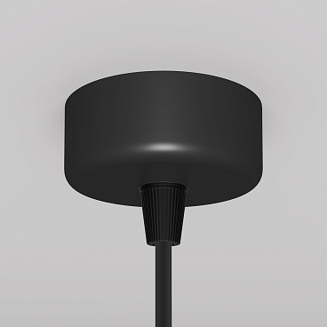 Подвесной светильник Maytoni P038PL-01B