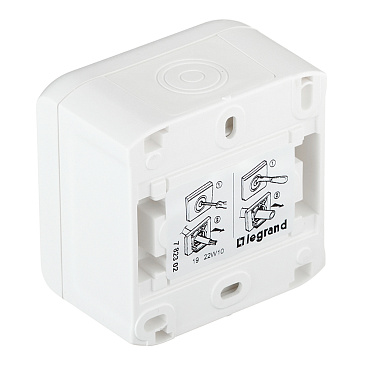 Выключатель Legrand Quteo двухклавишный накладной белый (782302)