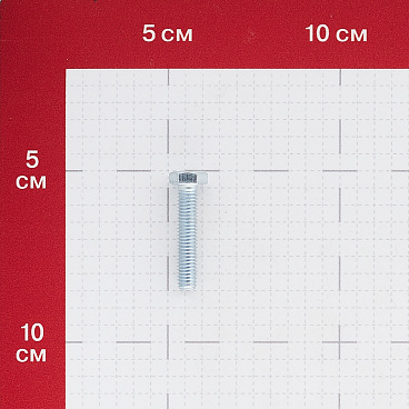Болт оцинкованный M6x30 мм DIN 933 10,9 (5 шт.)