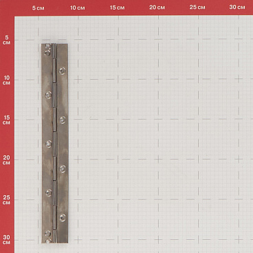 Петля рояльная без покрытия 250 мм