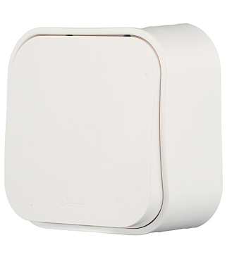 Выключатель Legrand Quteo одноклавишный накладной белый (782200)